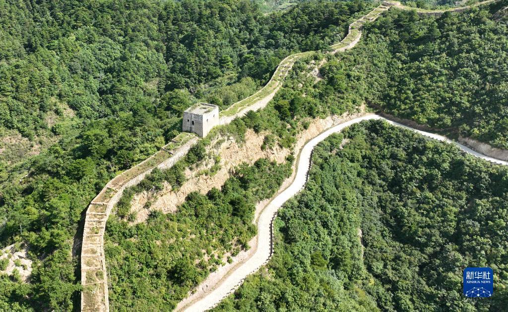 龙虎娱乐登录入口